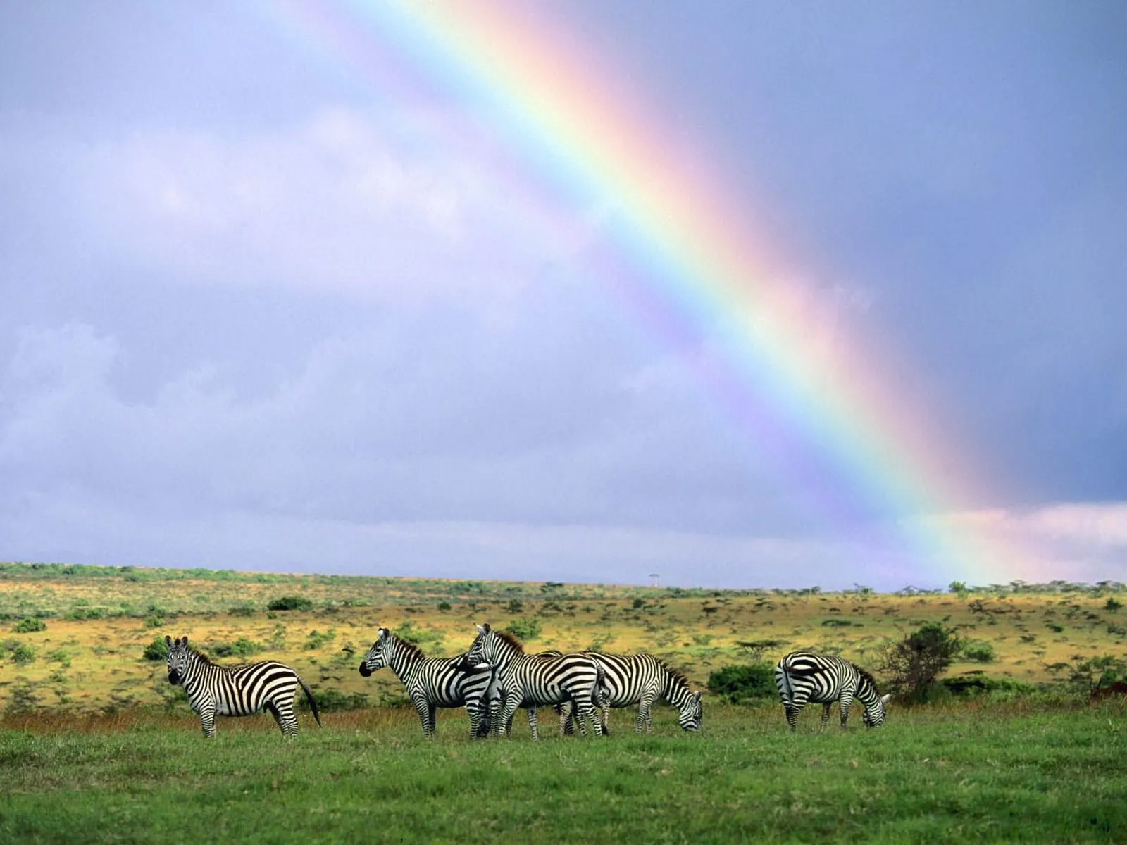 imagenes de arcoiris | fondos de paisajes