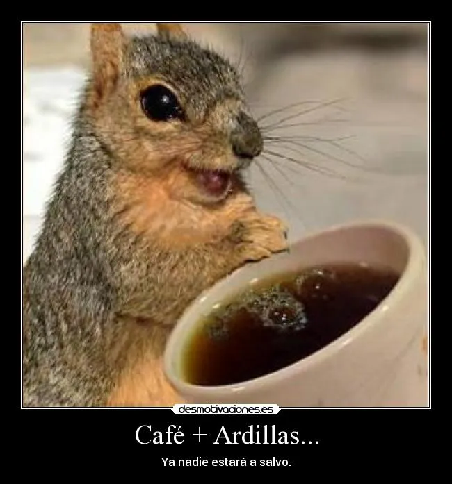 Café + Ardillas... | Desmotivaciones