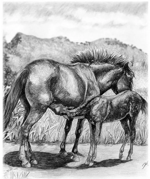 Imágenes Arte Pinturas: Dibujos Hiperrealistas de Caballos en ...