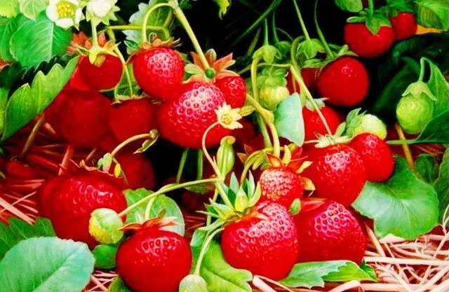 Imágenes Arte Pinturas: noviembre 2012