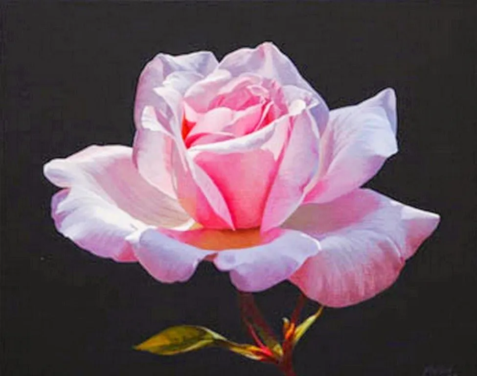 Imágenes Arte Pinturas: Pinturas Realistas de Bodegones con Rosas ...