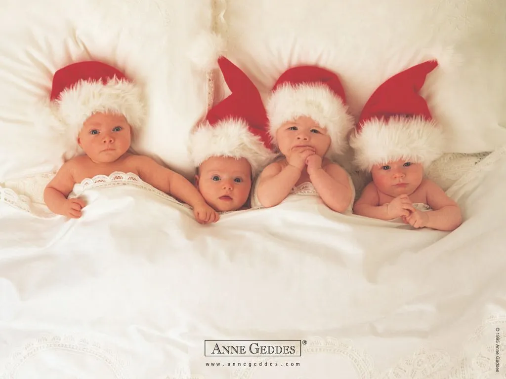 Imagenes de bebes de Anne Geddes, bellisimas. - Taringa!