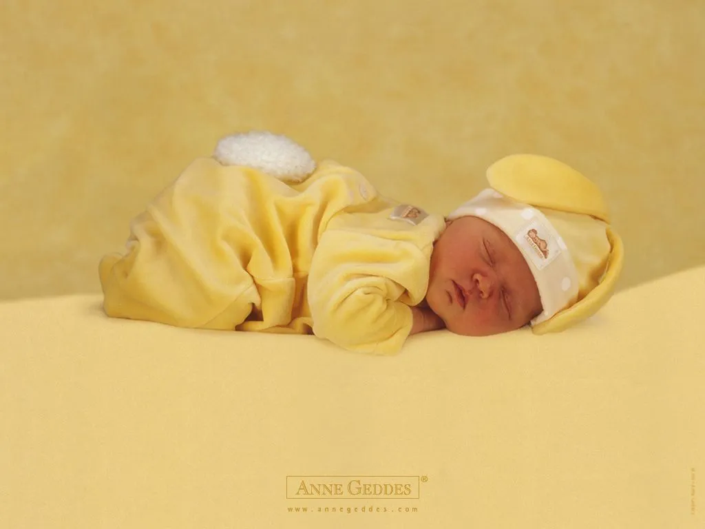 Imagenes de bebes de Anne Geddes, bellisimas. - Taringa!