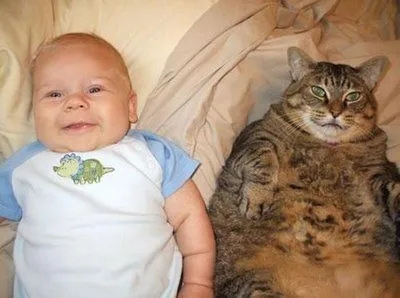 Mundo Mascota: Fotos de gatos con bebes