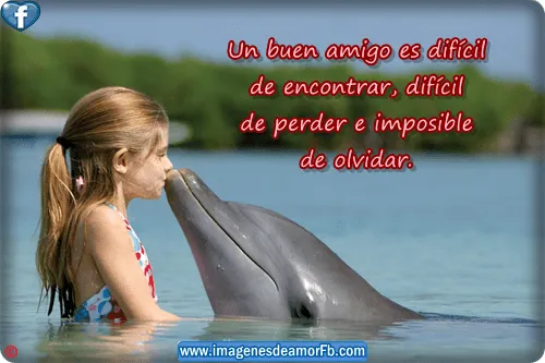 Imagenes bonitas de amistad para facebook ~ Imagenes de amor con ...