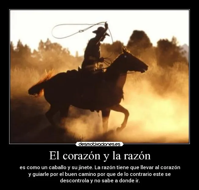 Imagenes bonitas de caballos con frases cortas de reflexión para ...