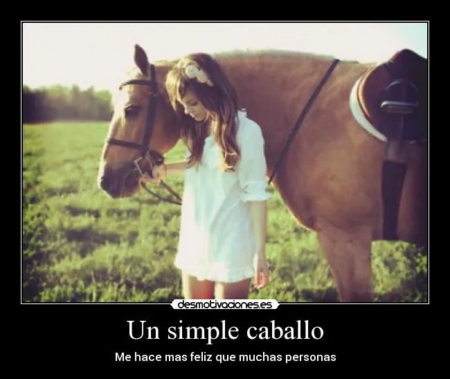 Imagenes bonitas de caballos con frases cortas de reflexión para ...