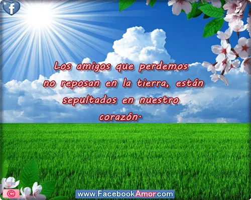 Imagenes bonitas con frases de amistad - Imagenes de Amor Facebook