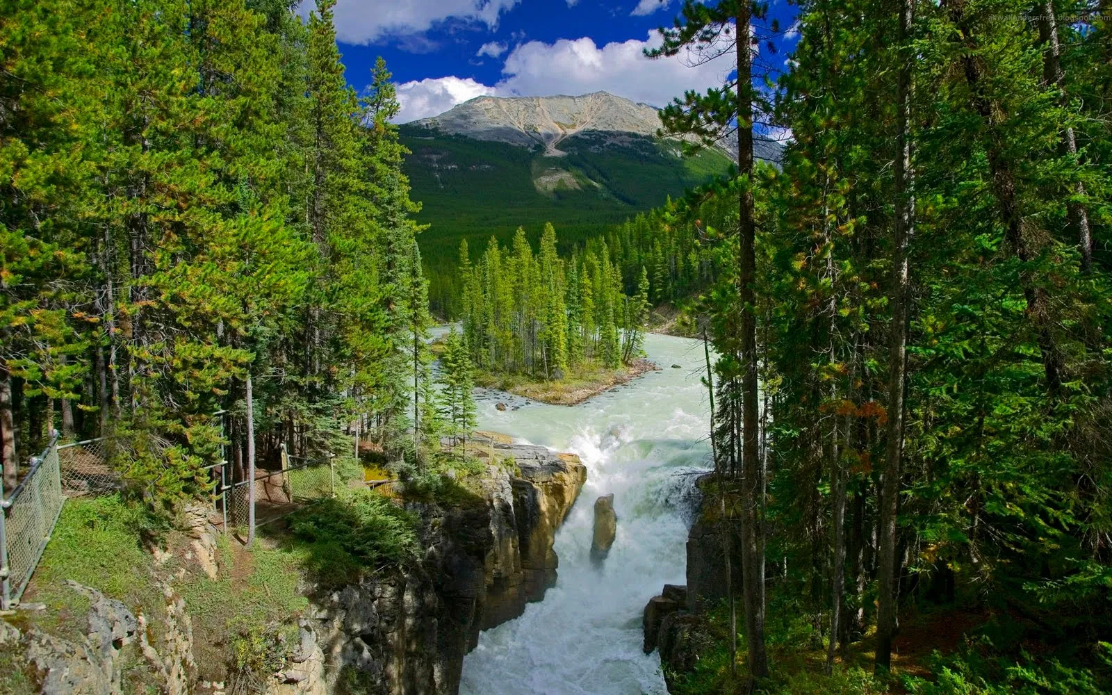 Imágenes de bosques y santuarios naturales (37 fotos) | Banco de ...