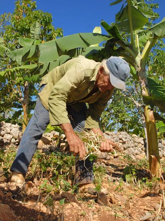 Hombre bueno en tierra mala | Cubadebate