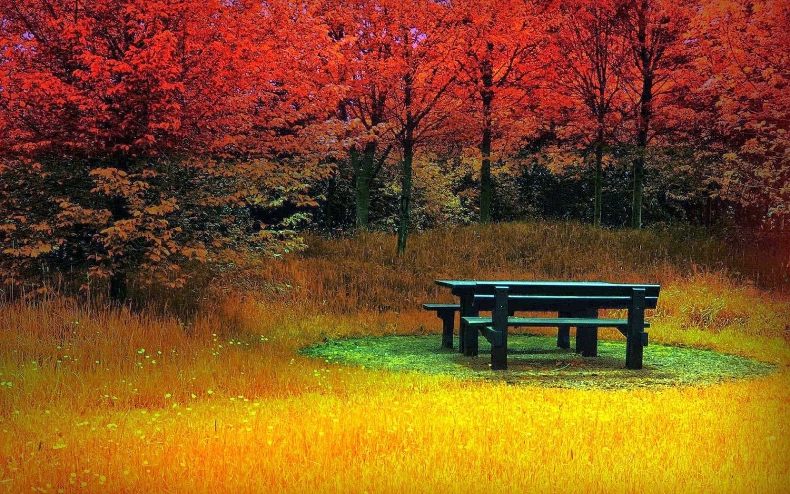 Imagenes de campos verdes - Fotos Bonitas de Amor | Imágenes ...