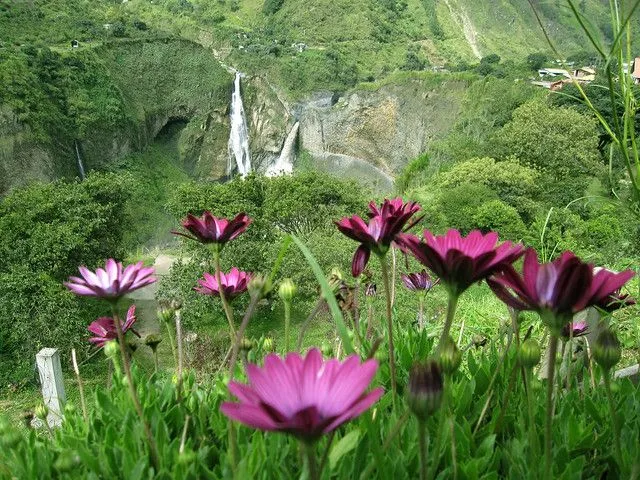 Imagenes de cascadas con flores - Imagui