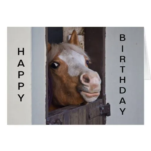 Tarjeta chistosa del feliz cumpleaños del caballo de Zazzle.