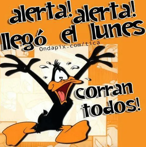 imagenes chistosas del dia lunes, graciosas, de risa, chidas para ...