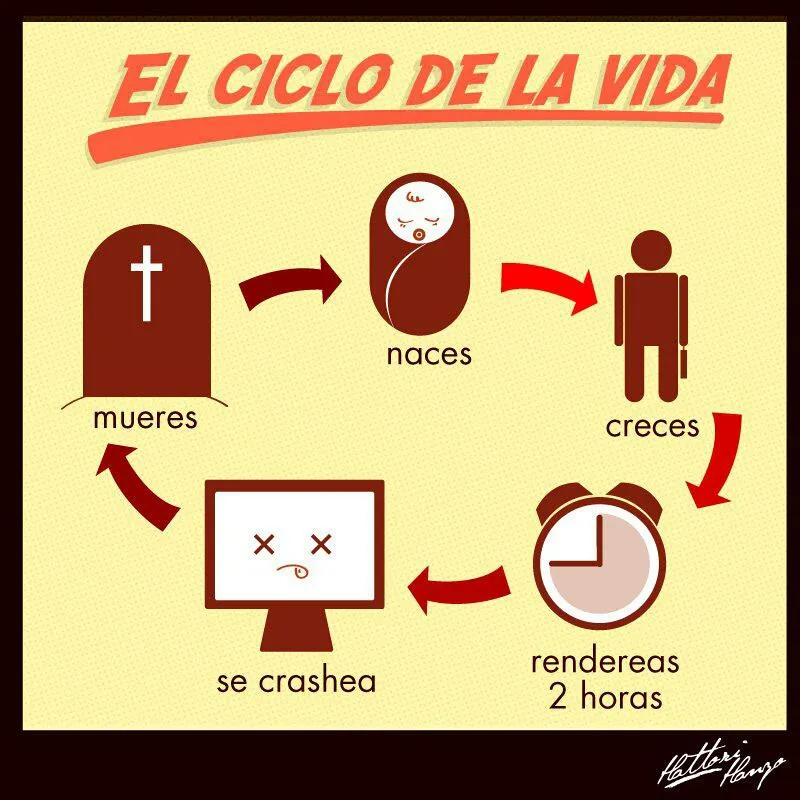 Finde de humor - El verdadero ciclo de la vida ~ PrimerBlog.net ...