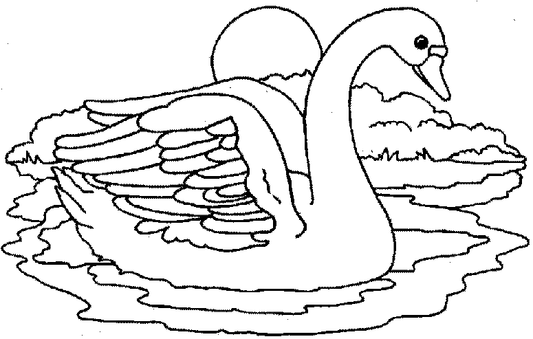 Imágenes de cisnes para colorear - Imagui