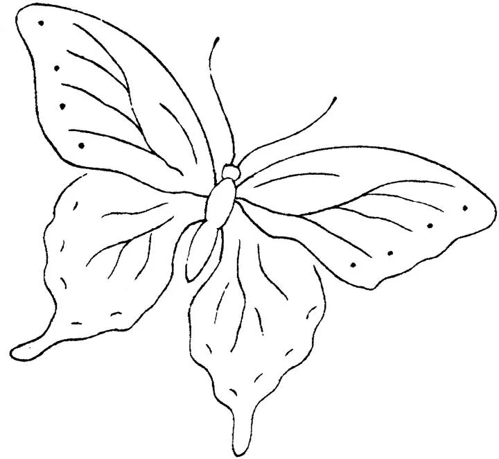 Imágenes para colorear de una mariposa - Imagui