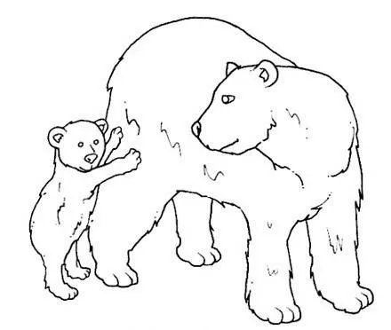 Oso polar para colorear infantil - Imagui