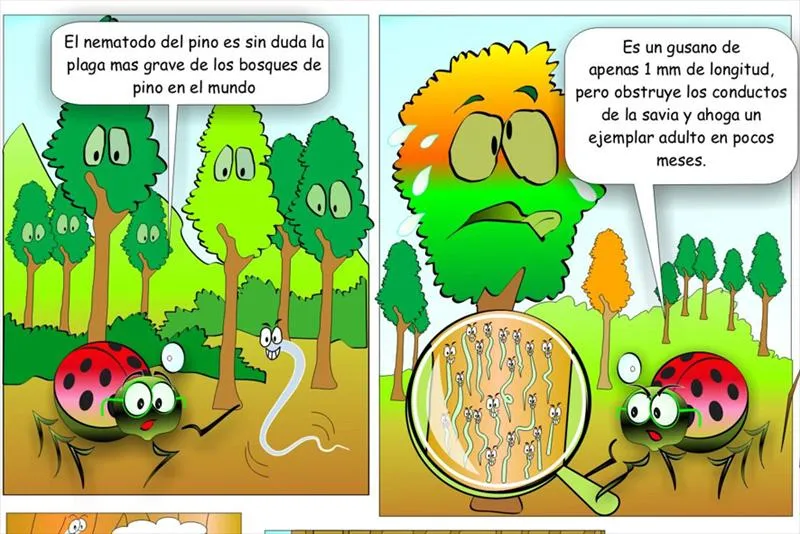 Comics del medio ambiente - Imagui