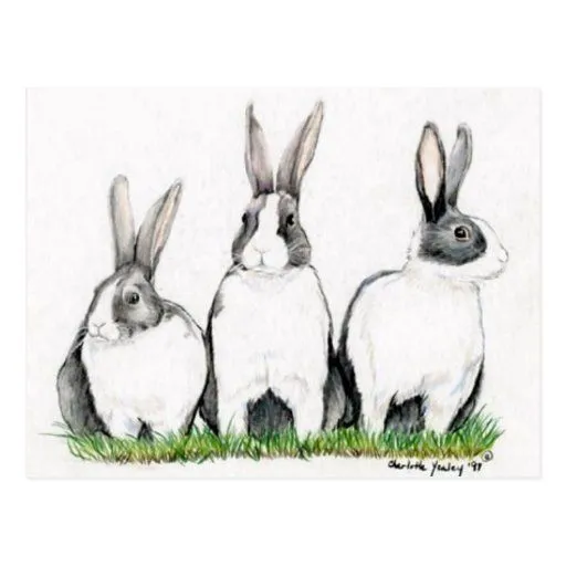 Arte animal Postacard de "tres conejitos" Postal | Zazzle