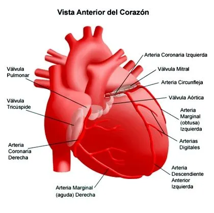 Mundos propios: MI CORAZÓN SIENTE...