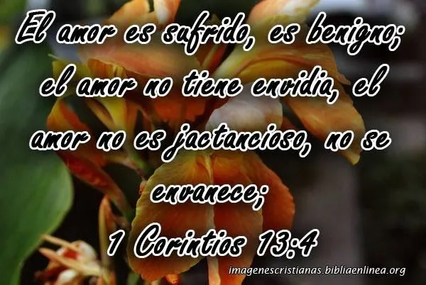 Imágenes cristianas para descargar de amor - Pcrist