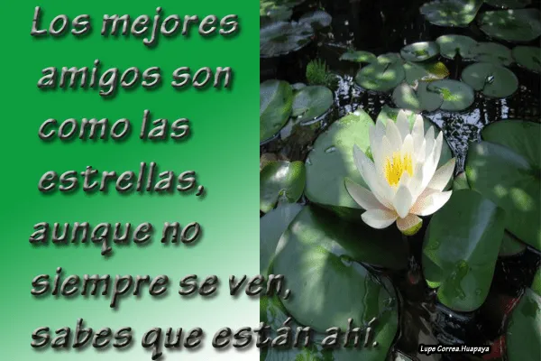 Imagenes cristianas con frases de amistad - Imagui