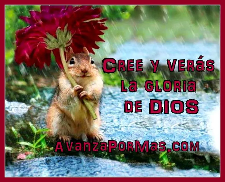 Imágenes Cristianas con frases: POSTALES CRISTIANAS CREE Y VERÁS