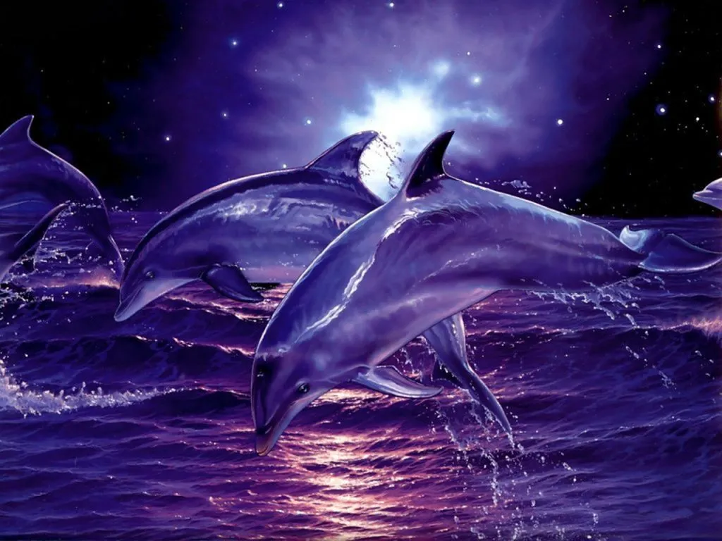 Imagenes de delfines para fondo de pantalla con movimiento - Imagui