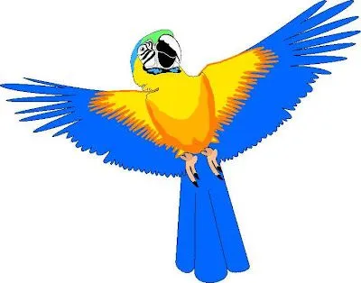 Imágenes para descargar de loros tecolotes byho clipart para ...