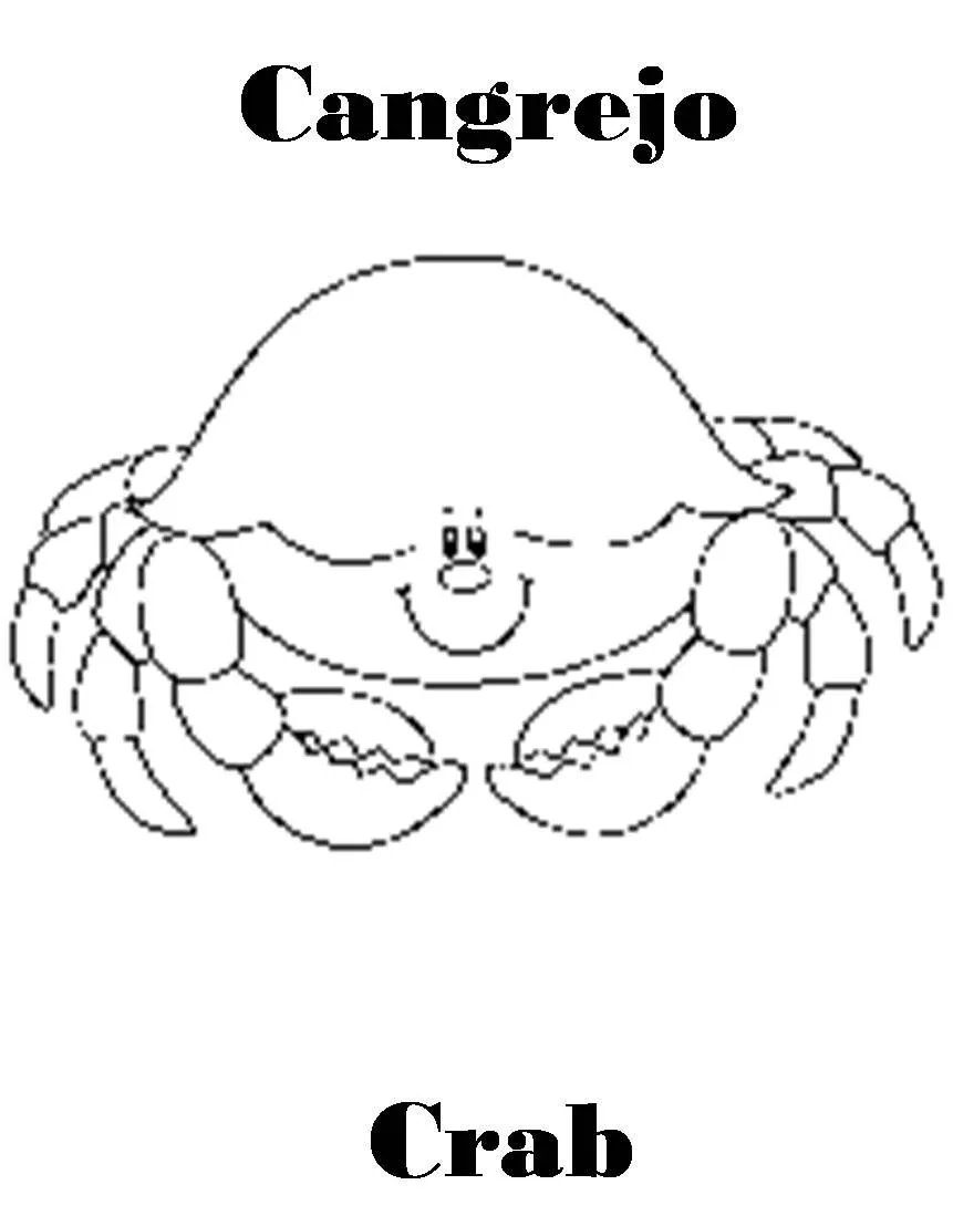 Imagenes para dibujar en Ingles y español: Animales Marinos para ...