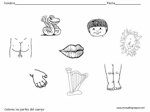 Imagenes y dibujos de partes del cuerpo humano - Imagui