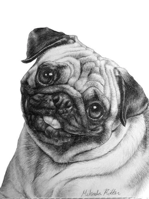 Imagenes De Dibujos De Perros | Imagenes de Perros Bonitos ...