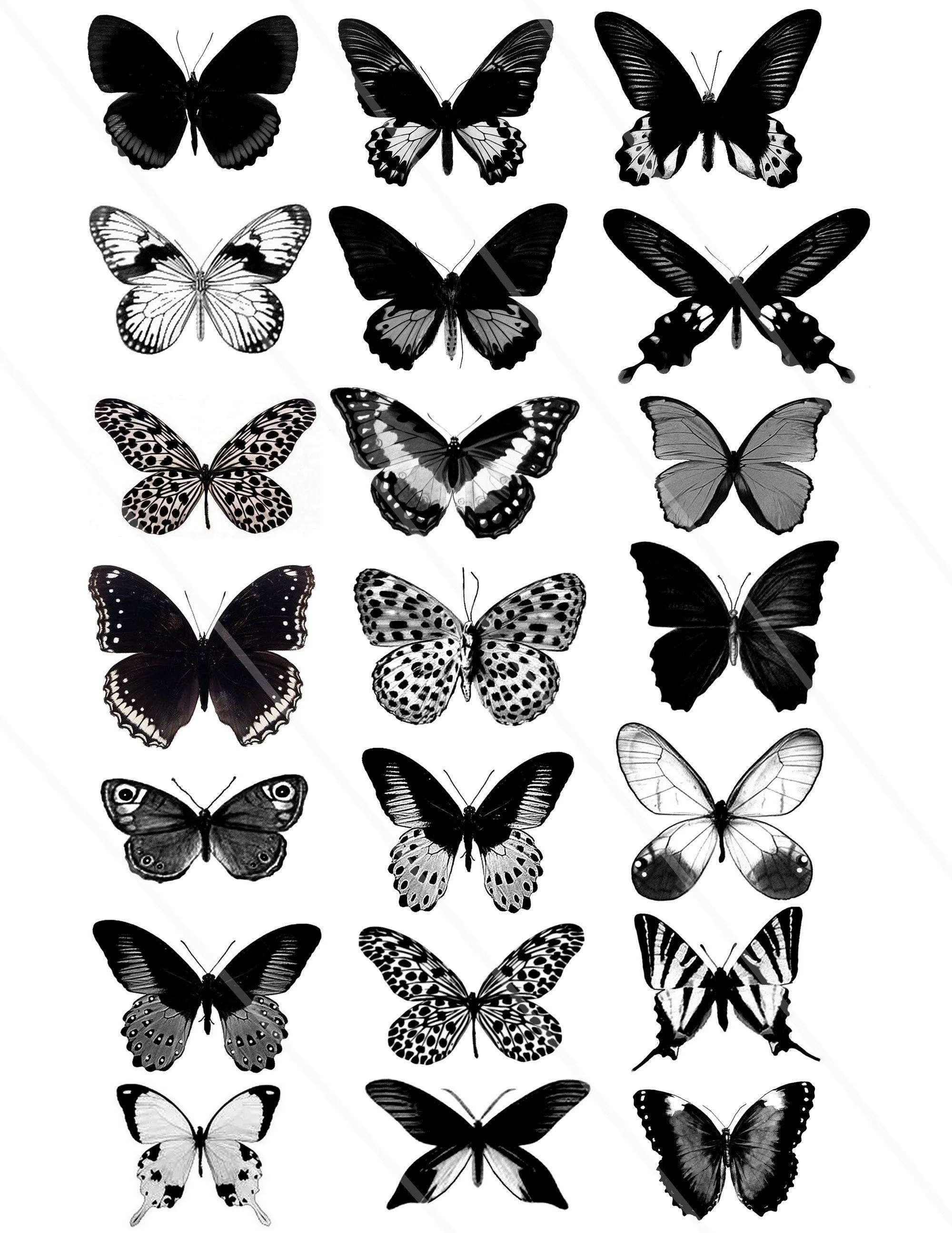 Imágenes digitales mariposas clipart mariposas negras mariposa - Etsy México