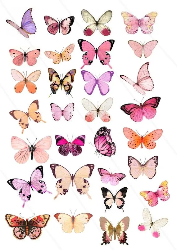 Imágenes digitales mariposas clipart mariposas rosas mariposa - Etsy México