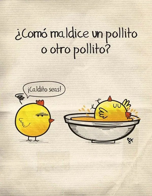 Imágenes divertidas de Pollos