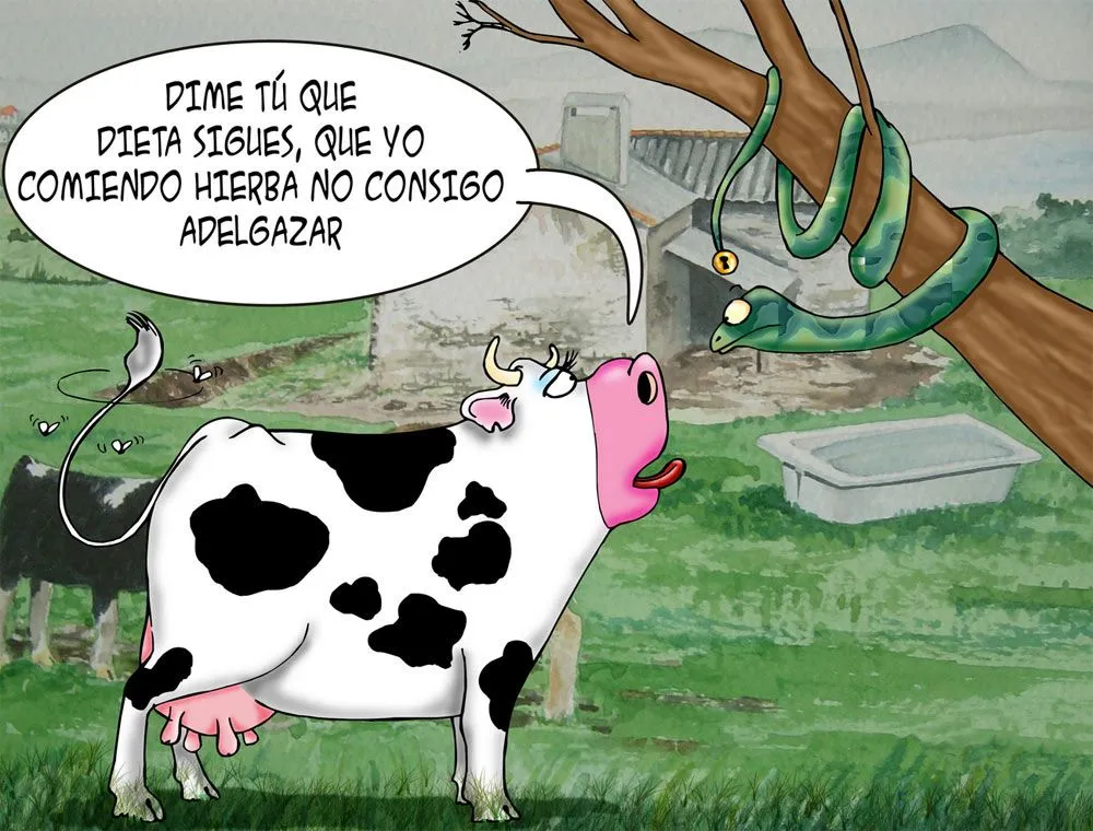 Imágenes divertidas de Vacas