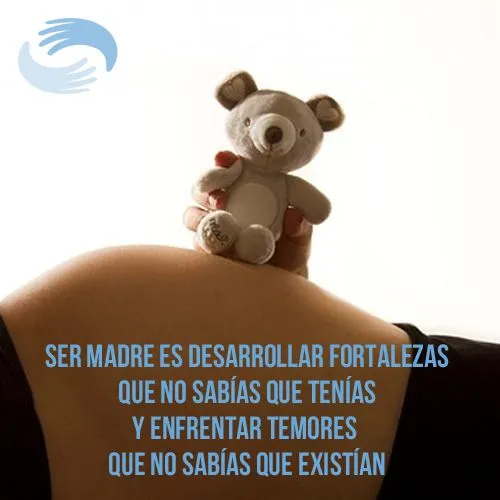 Imagenes de Embarazo Mes a Mes y Frases Bonitas para Compartir ...