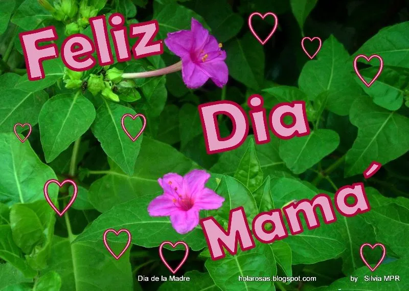 Imagenes para Facebook - Images for Facebook: MAMA´en su dia ...