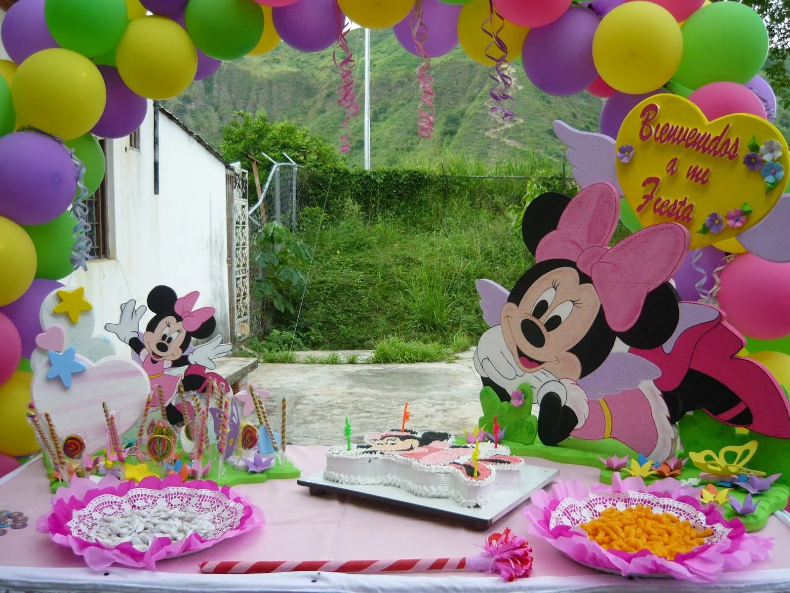 imagenes, fantasia y color: IDEAS PARA FIESTA INFANTIL MINNIE MOUSE