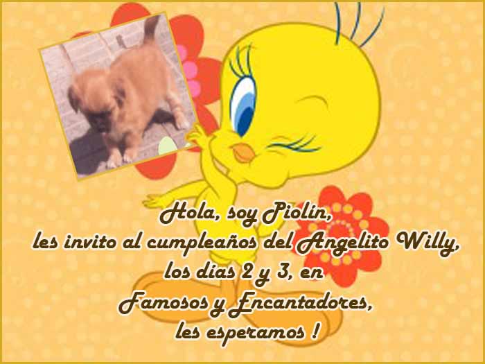 Imagenes feliz cumpleaños de piolin - Imagui