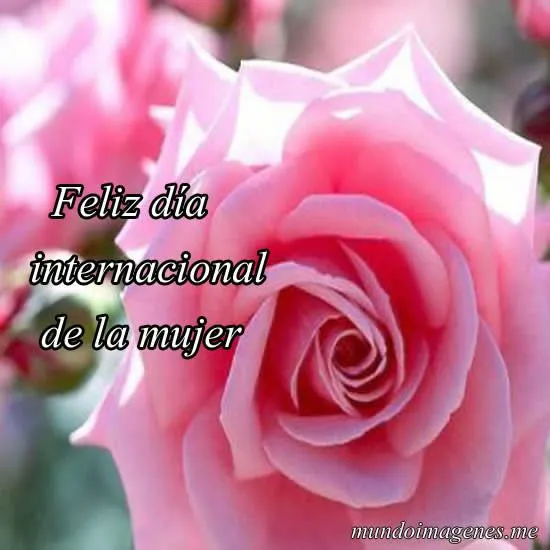 Imagenes De Feliz Dia De La Mujer Con Frases Para Dedicar - Mundo ...