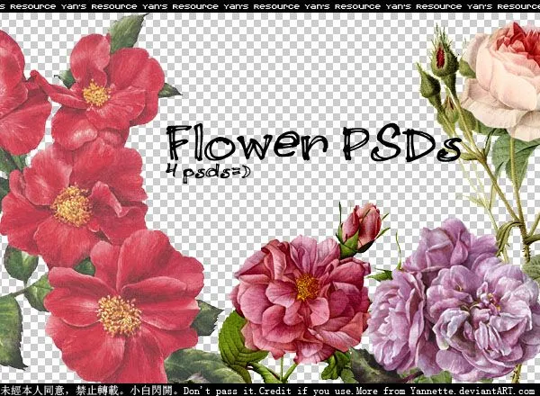 imágenes de flores en archivos PSD para tu Photoshop - Recursos ...