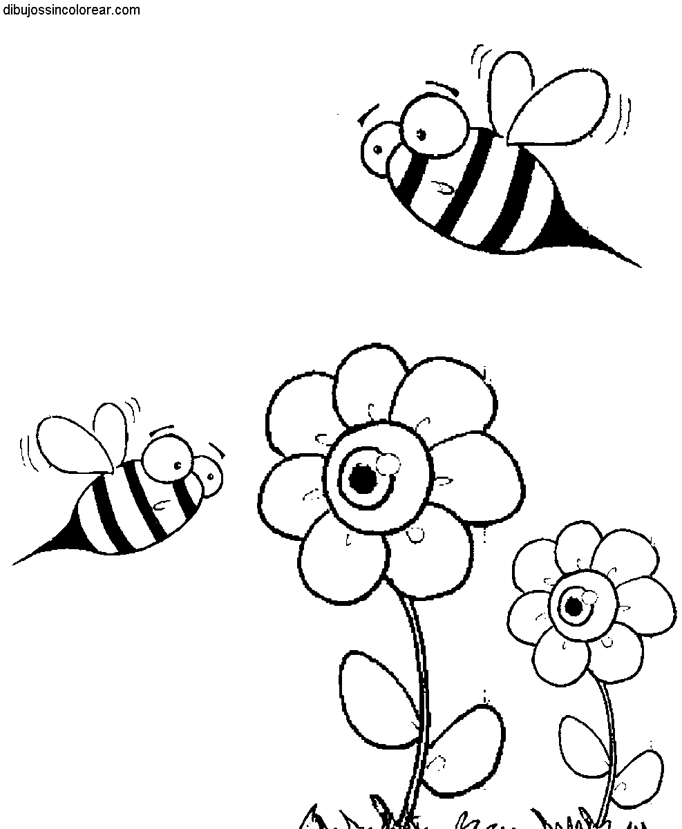 Dibujos de flores sin color - Imagui