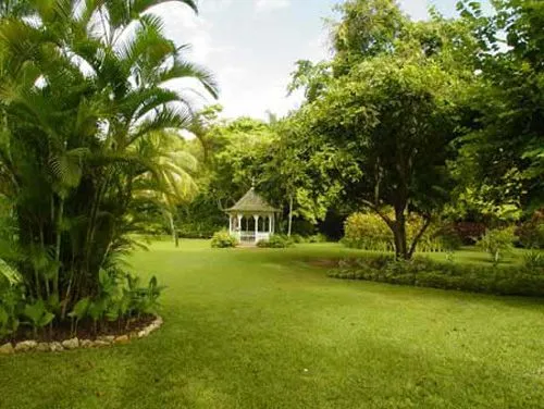 Jardín Botánico Shaw Park, el mejor de Jamaica