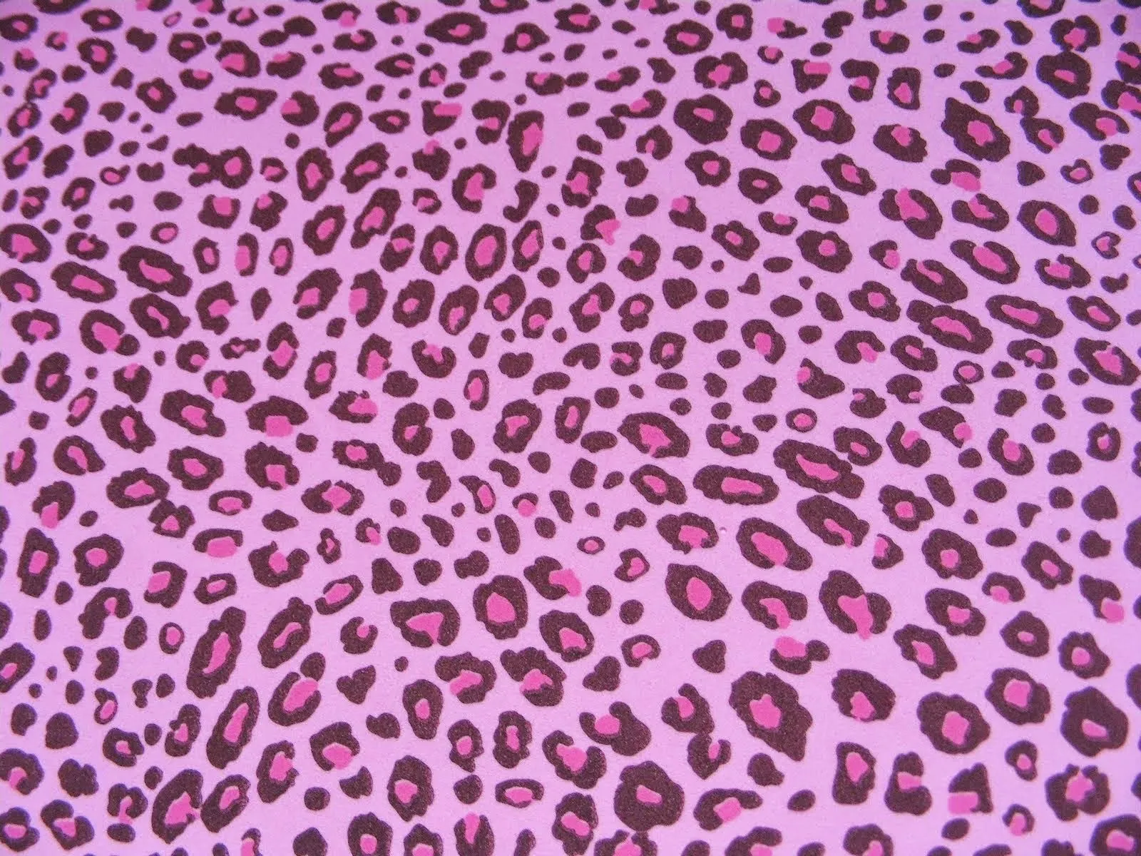animal print leopardo fondo de pantalla