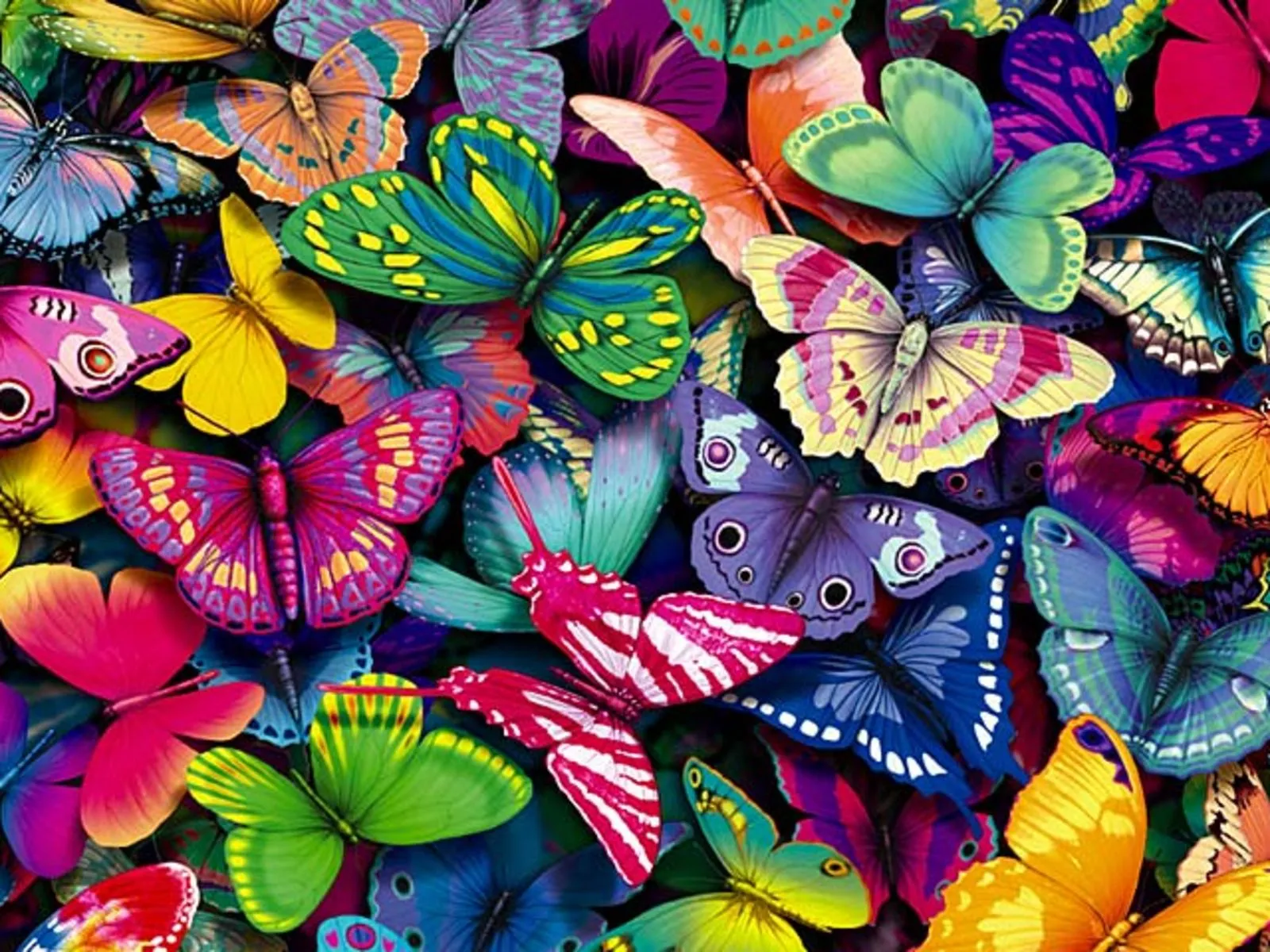 Imagenes de fondos de pantalla de mariposas - Imagui