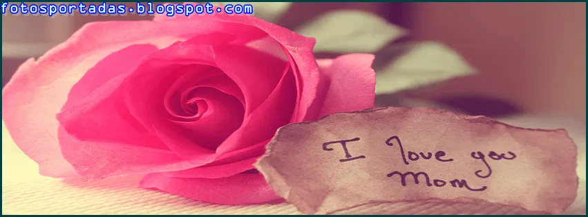 Imágenes y fotos de flores y rosas románticas de amor para ...