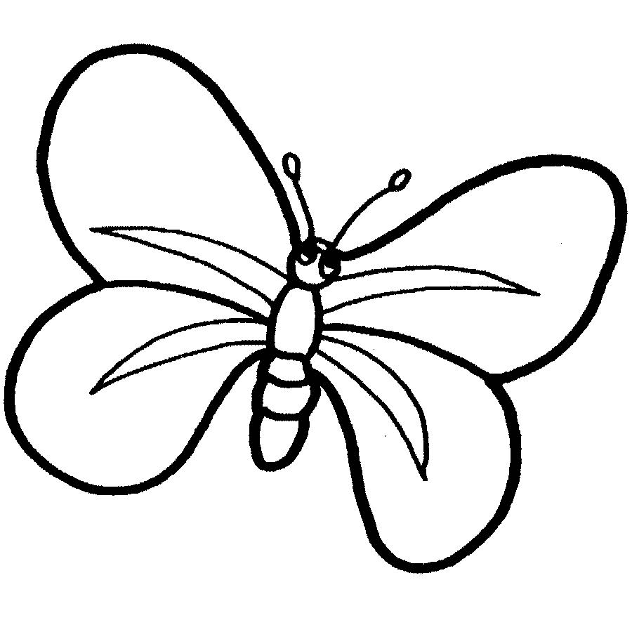 Imagenes y fotos: Mariposas Para Colorear, parte 2