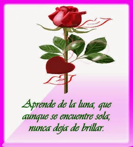 Imagenes y fotos: Poemas de Amor con Flores, parte 3